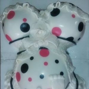 Meet your Posher, Candi